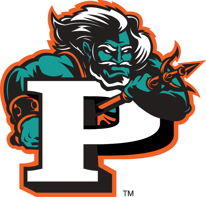 Pepperdine Waves 1998-2003 Secondary Logo diy iron on heat transfer